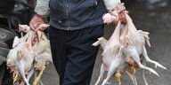 Mann trägt in beiden Händen tote Hühner