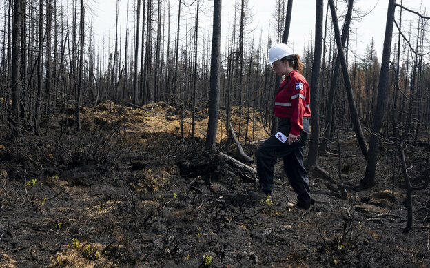 Firefighter in a burning forest