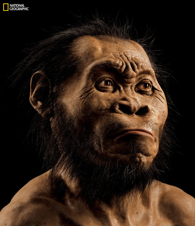 Eine Rekonstruktion des Homo Naledi