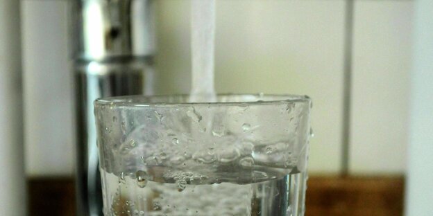 Ein Glas wird mit Wasser aus dem Hahn gefüllt