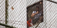Leopoldo López schaut aus einem Gefängnisfenster heraus.