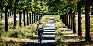 Radfahrer auf einem Radweg, der an beiden Seiten von Bäumen flankiert ist.