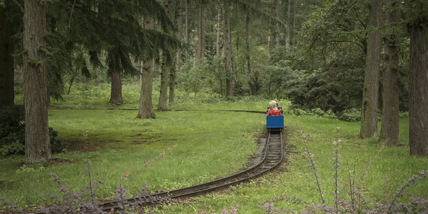 Eine kindertaugliche Eisenbahn im Wald im Märchenpark Verden