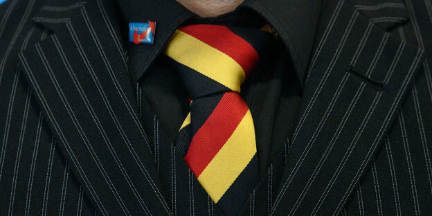 Ein Delegierter der AfD trägt einen Pin der AfD und eine Deutschland-Krawatte