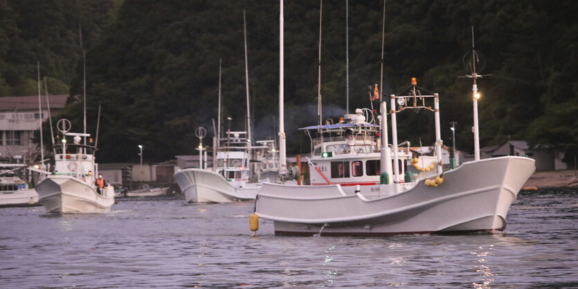 Fischerboote verlassen einen Hafen in der westjapanischen Präfektur Wakayama für die erste Treibjagd der Saison auf Delfine und Kleinwale