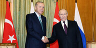 Erdogan und Putin schütteln sich die Hand