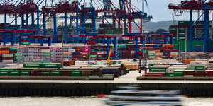 Hamburg Hafen: Wasser, Container, Kräne