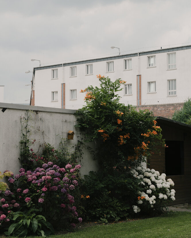 Gefängnismauer mit Blumen