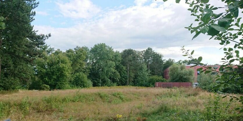 Eine Wiese mit roten Gebäuden im Hintergrund