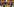 Präsident Biden und Präsident Vo Van Thuong halten Weingläser in der Hand und sitzen an einem runden Tisch.