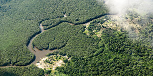 Luftbild vom Amazonasgebiet