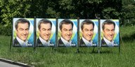 Mehrere Plakate mit einem grinsenden Markus Söder stehe nebeneinander auf einer Wiese