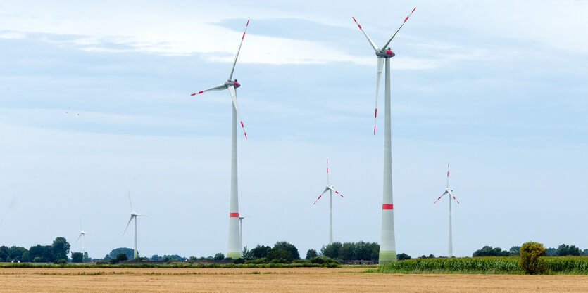 Windräder und Büsche auf Stoppelfeldern