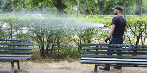 Mann gießt Büsche in Park mit Schlauch
