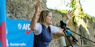 Katrin Ebner-Steiner (AfD) spricht beim Politischen Frühschoppen Gillamoos. Sie trägt ein Dirndl, ein Bierkrug steht v or ihr und sie habt die Arme. An ihrem Rednerpult hängt ein Plakat der AFD: Alle anderen sind grün