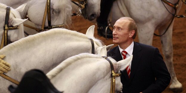 Putin streichelt Pferde