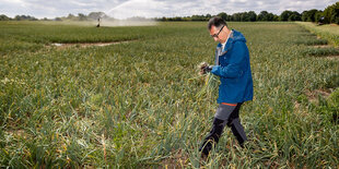 Bundesminister fuer Ernaehrung und Landwirtschaft Cem Oezdemir erntet Zwiebeln auf einem Feld in Uetze