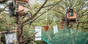 Baumhäuser im Hambacher Forst