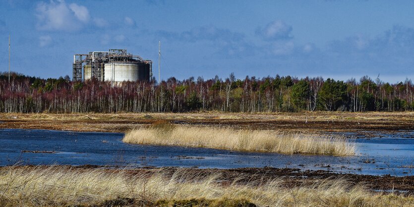 Das Naturschutzgebiet Voslapper Groden-Nord. Im Hintergrund ist ein Industriegebäude zu sehen.