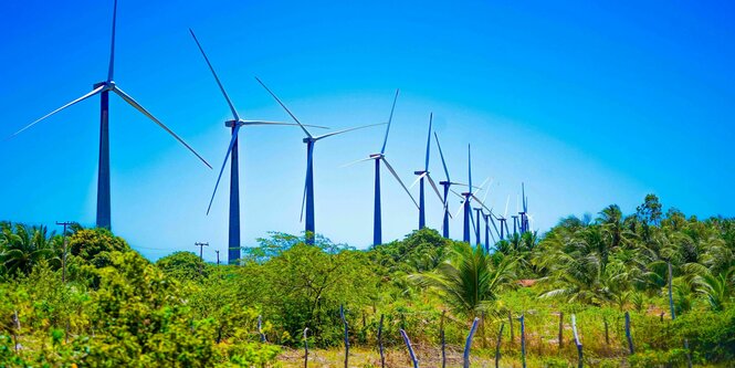 Windräder im Amazonasgebiet