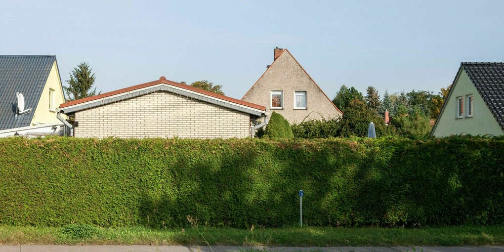 Einfamilienhaeuser hinter einer hohen Hecke