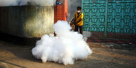 Ein Mann versprüht Insektenvernichtungsmittel gegen das Dengue-Fieber in Sylhet