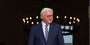 Bundespräsident Frank-Walter Steinmeier im Anzug