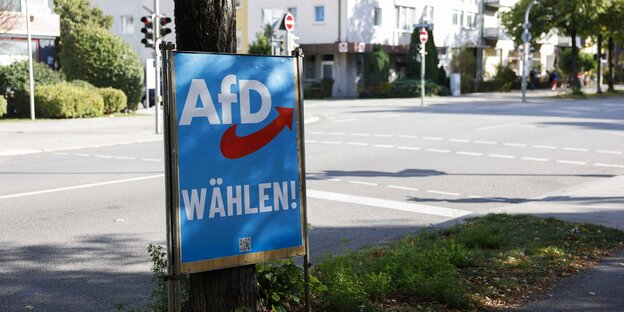 Wahlplakat der AfD.