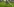 Garry Ringrose mit dem Ball beim Hechtspruch zum Versuch