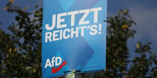 AfD-Plakat.