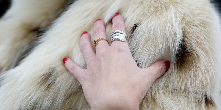 Eine Frau fasst in einen hellen Pelz, den sie trägt. Sie hat rot lackierte Fingernägel und trägt auffällige Silberringe. Es ist nur der Pelz und die Hand zu sehen