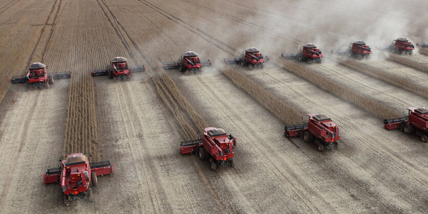 Mähdrescher fahren in Formation bei der Ernte.