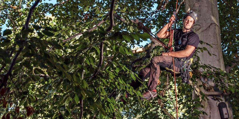 Ludwig Klein sitzt am Seil in einem Baum