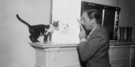 Walt Disney zeigt 1931 einer Katze einen Mickey-Mouse-Cartoon