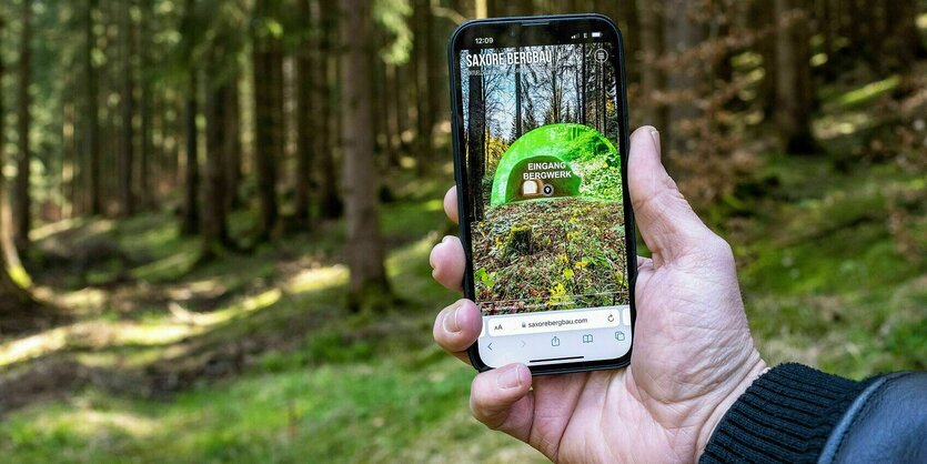 Hand im Wald hält Handy, auf dem nicht der Wald, sondern ein Stollen zu sehen ist