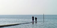 Buhne an der Nordseeküste, Zwei Menschen stehen mit den Füssen im Wasser