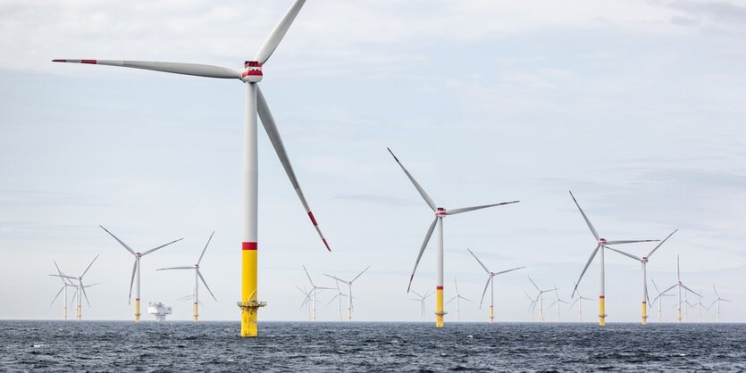 Offshore Windpark