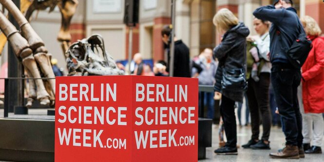 Menschen beschauen Saurier-Knochen