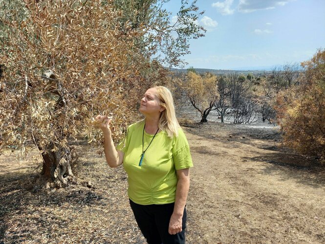 Eine Frau mit hellgrünem T-Shirt greift in einen verbrannten Olivenbaum