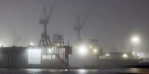 Hamburger Hafenkräne bei Nacht