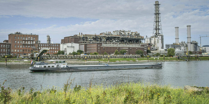 Das Chemiewerk BASF in Ludwigshafen