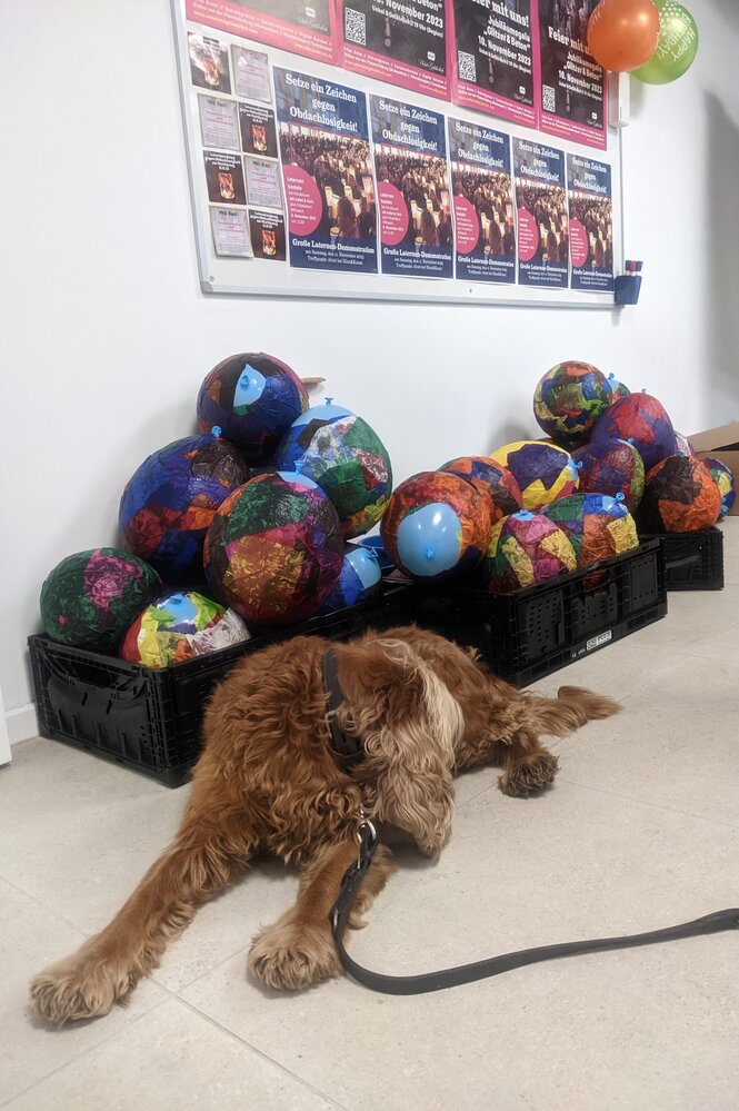 Ein Hund liegt vor beklebten Luftballons auf dem Boden