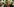 Elizabeth Debicki als Lady Di
