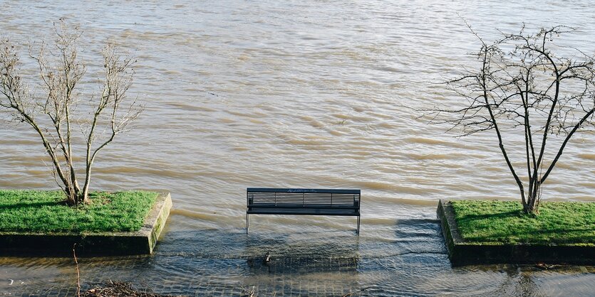 Eine Bank und beete mit Bäumen sind von Rheinhochwasser umgeben