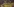 Fans von Borussia Dortmund
