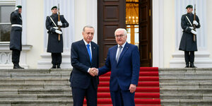 Die Präsidenten Erdogan und Steinmeier geben sich die Hände.