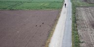 Eine Person joggt auf einer Straße zwischen kahlen Feldern
