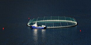 Fischfarm in Island - mitten in einem See