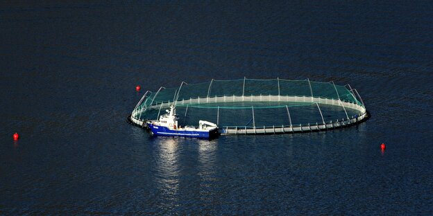 Fischfarm in Island - mitten in einem See