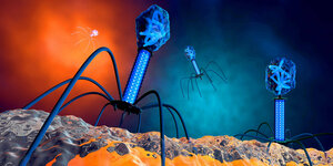 Der bakteriophage Virus.